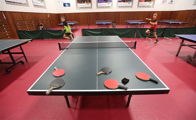 Another Russian victory on the sports field, the exclusion of table tennis  players does not apply | Music News First