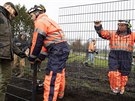 Dánsko zaalo stavt plot v délce 70 kilometr na hranici s Nmeckem. (28....