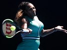 Serena Williamsová se ví silou opírá do forhendu ve tvrtfinále Australian...