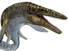 Mosasaurus musel být psobivým predátorem.