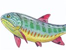 Acrolepis gigas pevyovala jiné ryby své doby velikostí.