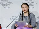 estnáctiletá védská environmentální aktivistka Greta Thunbergová bhem...