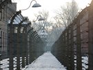 Celý svt si pipomíná Mezinárodní den památky obtí holokaustu. Datum bylo...