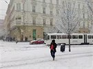 V Brn je bílo. Jihomoravskou metropoli zasypává sníh