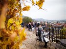 Posezení na vinici svaté Kláry s nádherným výhledem na Vltavu a na Prahu. Na...