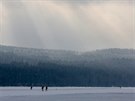 Na zamrzl�m Lipn� se v sobotu 26. ledna 2019 za��n� bruslit, magistr�la je...