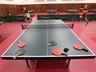 Kdysi za��nal brodsk� klub stoln�ch tenist� HB Ostrov s minimem hr���. Te� jich...