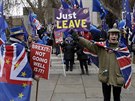 Zastánci brexitu manifestují v Londýn. (29. ledna 2018)