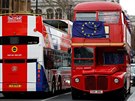 Odprci brexitu k manifestacím ped britským parlamentem v Londýn vyuili i...