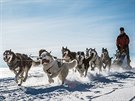 Musher Roman Novotn� nevynechal zat�m ��dn� ro�n�k.
