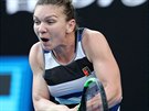 PROTI SEREN. Rumunská tenistka Simona Halepová, souasná svtová jednika,...