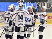Plzeňští hokejisté se radují z gólu v utkání s Litvínovem.