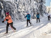 Orlické hory přilákaly stovky lyžařů (19. 1. 2019).