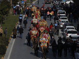 S festivalem se nepojí pouze souboje - vichni tynozí zápasníci se den ped...