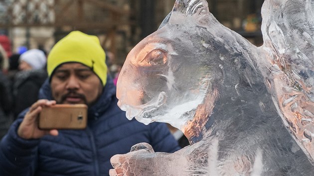 Muž si fotil sochu veverky 26. ledna 2019 v Plzni na druhém ročníku akce Ledové sochy. Umělci na náměstí Republiky v centru města vystavují téměř dvacet ledových soch zvířat.