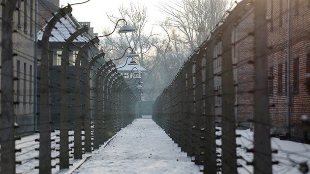 Celý svět si připomíná Mezinárodní den památky obětí holokaustu. Datum bylo vybráno na počest osvobození koncentračního tábora v Osvětimi 27. ledna 1945. (27. ledna 2019)