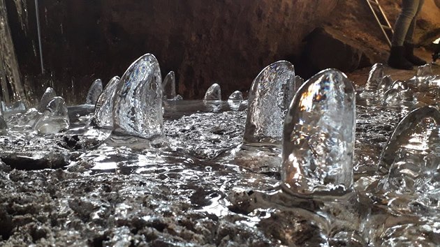 V Jeskyni vl rostou rampouchy dky odkapvn vody ze stropu jeskyn.