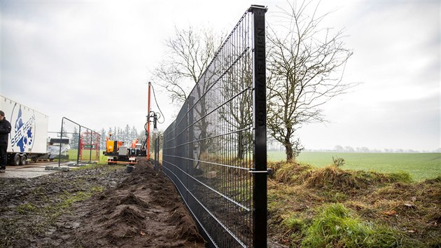 Dánsko začalo budovat plot na hranici s Německem kvůli nakaženým divočákům. (28. ledna 2019)