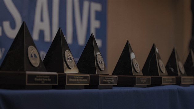 Pohled na prestin ceny Keeping The Blues Alive Award udlovan americkou nadac Blues Foundation, kter se sna o oceovn, uchovvn a propagaci blues. Zskal ji i umpersk festival Blues Alive.