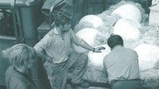 Instalace Brány sn�