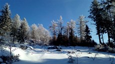 Zima v Polevsku