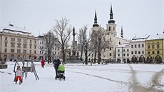 Ob lípy, které nechá msto pokácet, jsou viditelné pi pohledu od bývalé...