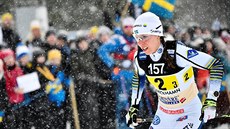 védská bkyn na lyích Charlotte Kallaová v závodu tafet v Ulricehamnu.