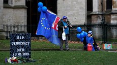 Odprci brexitu manifestují ped britským parlamentem v Londýn. (29. ledna...