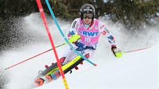 Francouzský ly�a� Clément Noël na trati slalomu ve Wengenu