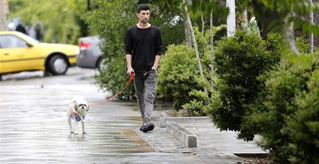 Mu v Teheránu vení psa. Ilustraní fotografie