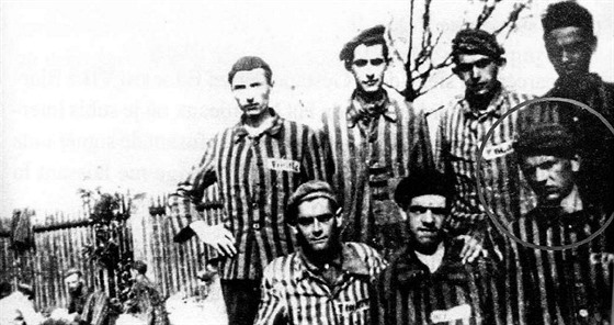 Mnoho účastníků takzvaných pochodů (na snímku vězňové z pochodu Schwarzheide po osvobození českými partyzány) smrti zemřelo vysílením, další zastřelili dozorci.