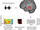 Studie publikovaná v roce 2012 ukazovala, jak pomocí elektrod v mozku...