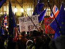 Stoupenci brexitu se v úterý veer seli ped budovou parlamentu. (29. 1. 2019)