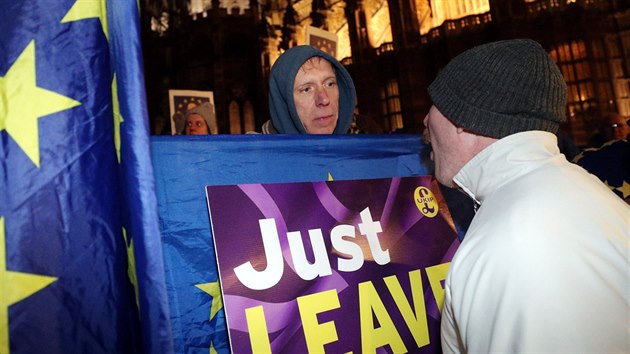 Demonstrace na podporu brexitu ped Westminsterskm palcem (29. 1. 2019)