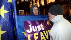 Demonstrace na podporu brexitu ped Westminsterským palácem (29. 1. 2019)