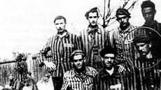 Vězňové z pochodu smrti Schwarzheide na zahradě brusírny skla K. Zeisler krátce...