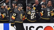 Úto�ník Vegas Max Pacioretty slaví gól se spoluhrá�i.