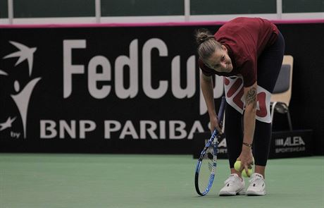 Karolína Plíková na tréninku v Ostrav ped utkáním Fed Cupu proti Rumunsku.
