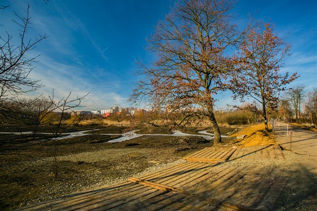 Vyputný Milíovský rybník v zim.