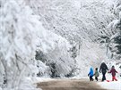 Zasnený Blue Bell Hill nedaleko britského Maidstonu (2. února 2019)