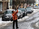 Na námstí v eském Brod lovila v nedli skupina myslivc pemnoené divoké...