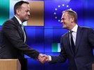 Irský premiér Leo Varadkar a éf Evropské rady Donald Tusk na setkání v Dublinu...