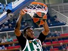 Thanasis Adetokunbo z Panathinaikosu Atény smeuje do koe Anadolu.