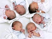 Ilustra�ní snímek