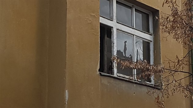 Požár v bytě v Bolzanově ulici v Plzni nepřežili dva muži (9. 2. 2019).
