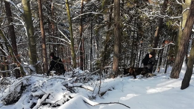 Ptrn po lupich a ukradench percch v karlovarskch lzeskch lesch. (4. 2. 2019)