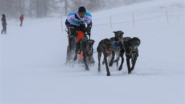 V kategorii sleddog thne zvodnka na sanch ps speen.