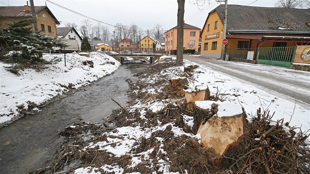 Všechny stromy u Smrčenského potoka v centru Hybrálce na Jihlavsku dřevorubci pokáceli. Oficiálním důvodem byla příprava prací na
rozšíření koryta potoka, který se zde při silných deštích rozlévá.