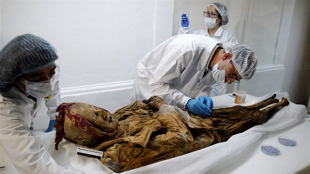 Francouzsk patolog Philippe Charlier zkoum ekvdorskou mumii z 16. stolet (30.1.2019)