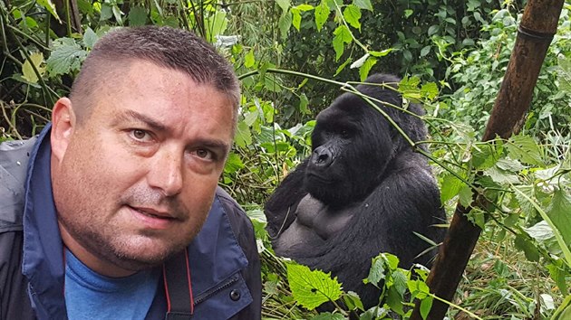 Marek Žďánský během pozorování horských goril v Kongu v lednu 2019, v pozadí stříbrohřbetý alfa samec pozorované skupiny.